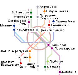 Ветеринарные клиники владивосток форум